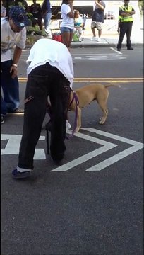 Sauvetage d'un chien déshydraté aux USA