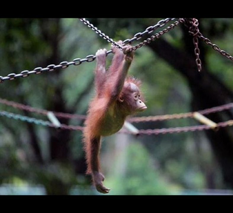 Panasonic Lumix ZS20 Black Friday Best Cheap