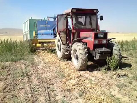 TÜMOSAN 90.80 DT DEMİRELLER HASAT MAKİNASI İLE FASULYE HASATINDA [Part 1]...!!!
