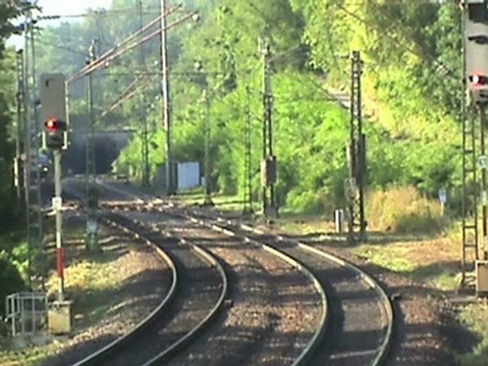 Züge und Moselschiffe beim pündericher Hangviadukt nahe der Ortschaft Reil