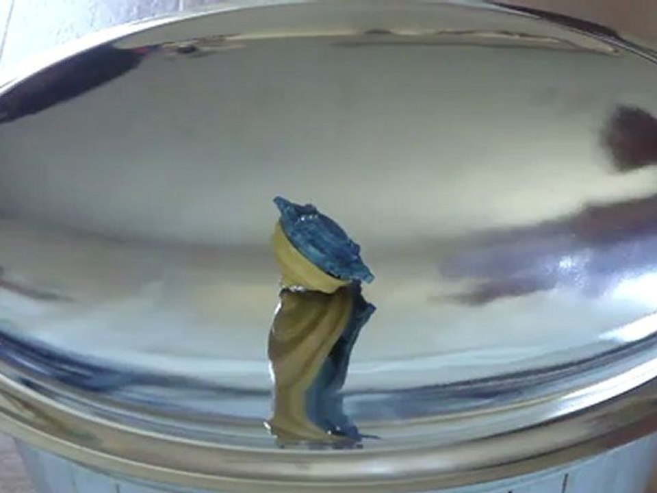 Combat de mini toupie:royal vs commando