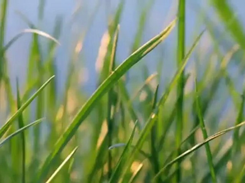 Kamal Muhamad New Clip 2012 La Dwai To