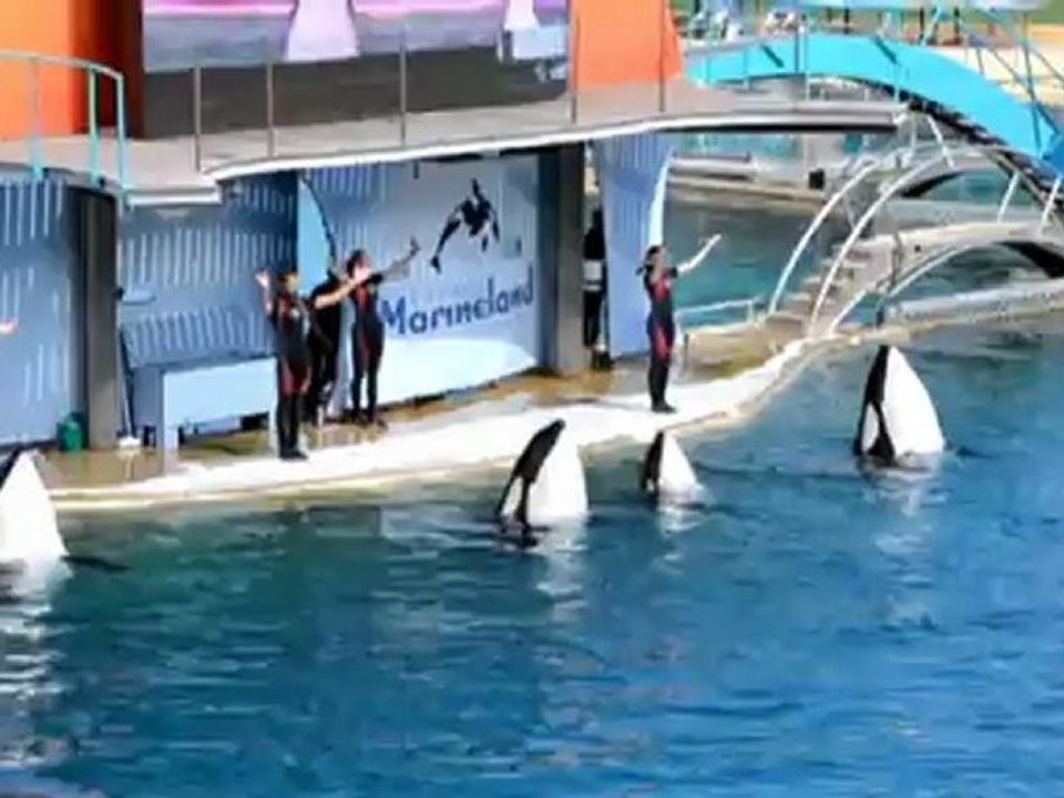 Marineland