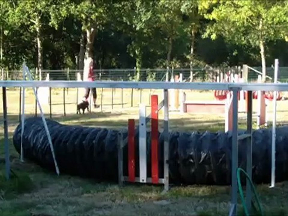 Vodka Running A Frame 25th training