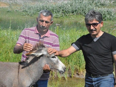 Barfiks 19 Soner GENEL