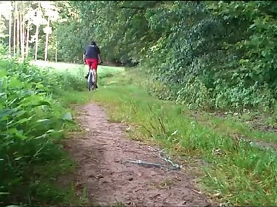 Zwiastun 2 Pies,dog und Hund(el) ver.2