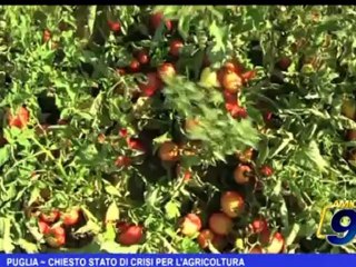 Puglia | Chiesto stato di crisi per l'agricoltura