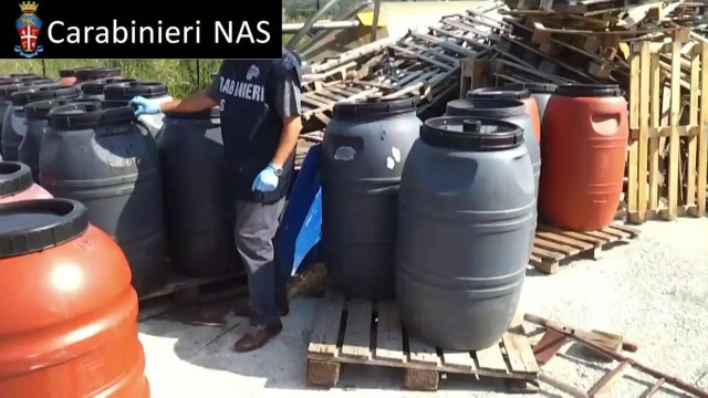 Pescara - I Nas sequestrano 600 tonnellate di olive in salamoia (08.09.12)