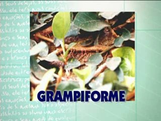 18-VTS_06_1- Aula 16