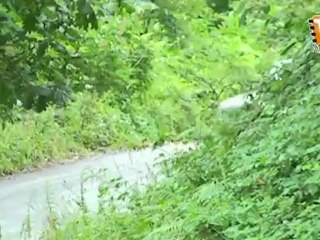 TROFEO AUTOCOLON RALLY  CRISTIAN LOPEZ HERRERO 2012