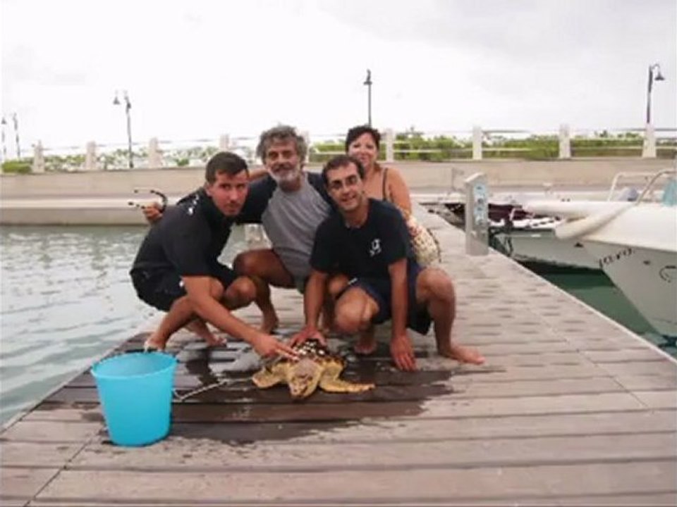 tartaruga marina salvata