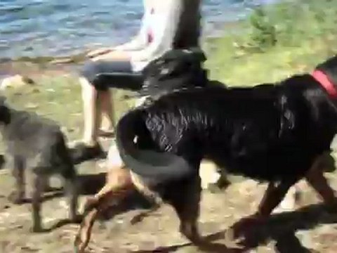 New01.mpg LAC DE ISSARLES AUVERGNE AOUT 2012