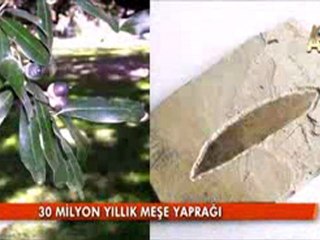 Fosiller anlatıyor Evrim Yokk!