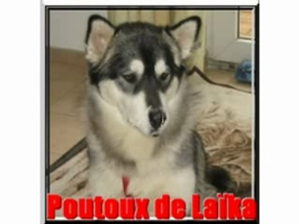 poutoux