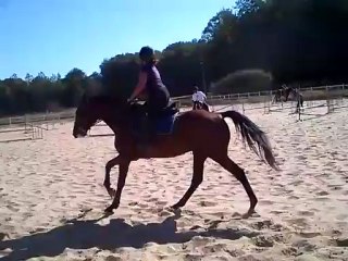 rodeo et moi galop cours 9 9 2012