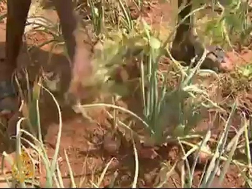 Somalia faces food security challenge