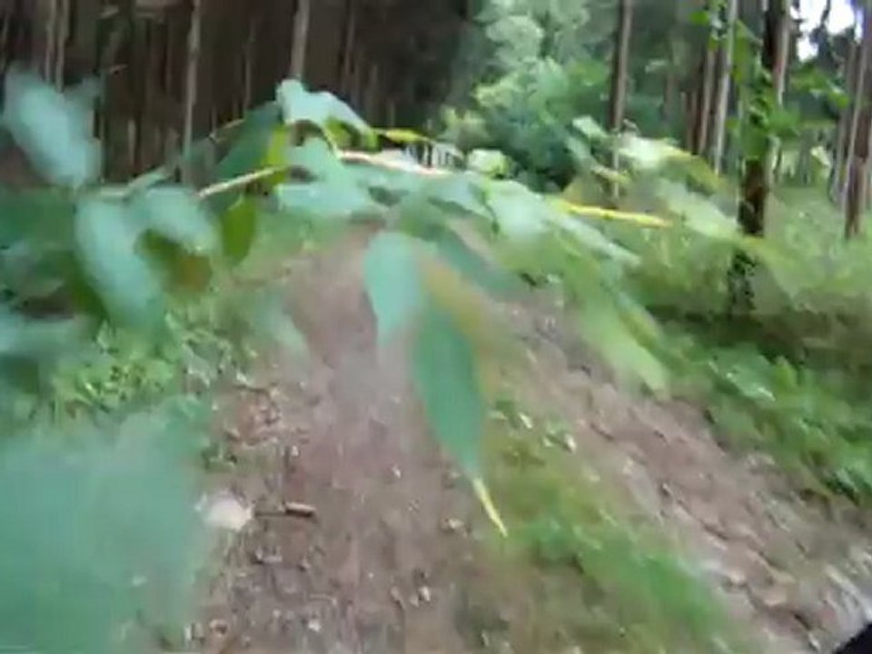 BMW R1200 GS: Light Offroad