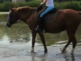 Océane du Pré Prince dans le gué