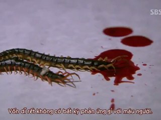 [Vn-Phim.Com]Tin.Nghia.Faith.Tap.4_2