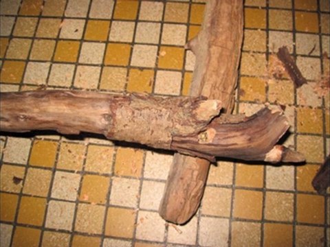 Cadre en bois flotté