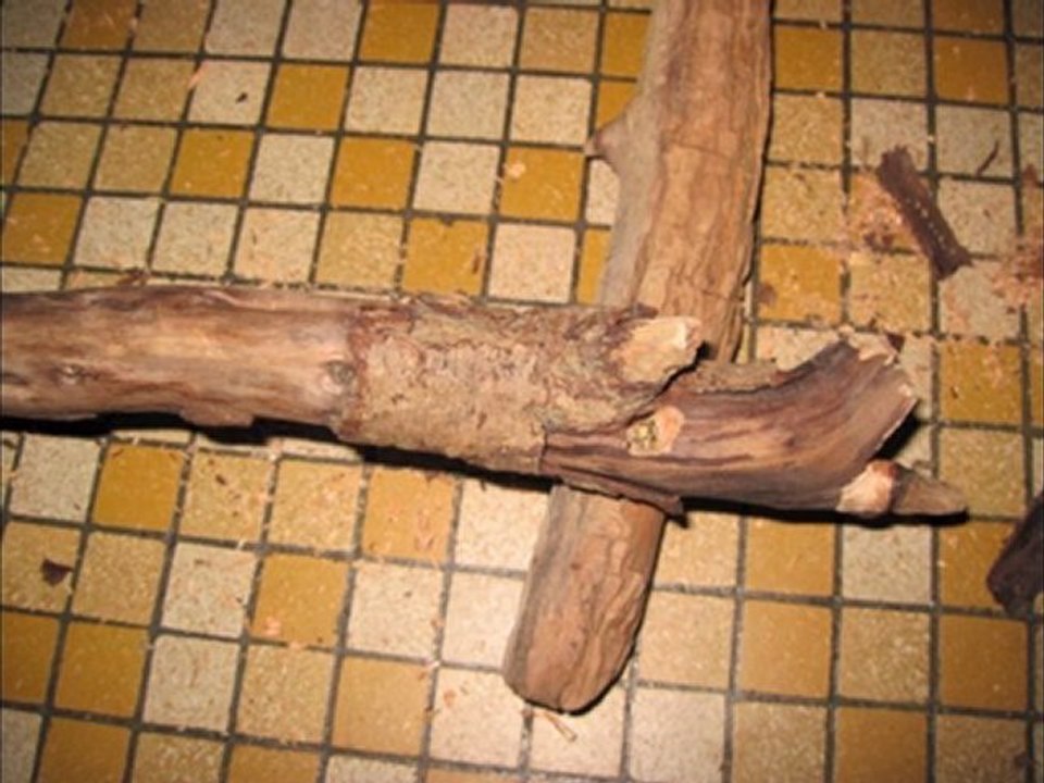 Cadre en bois flotté