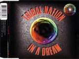 TRIBAL NATION - In a dream (tribal mix)