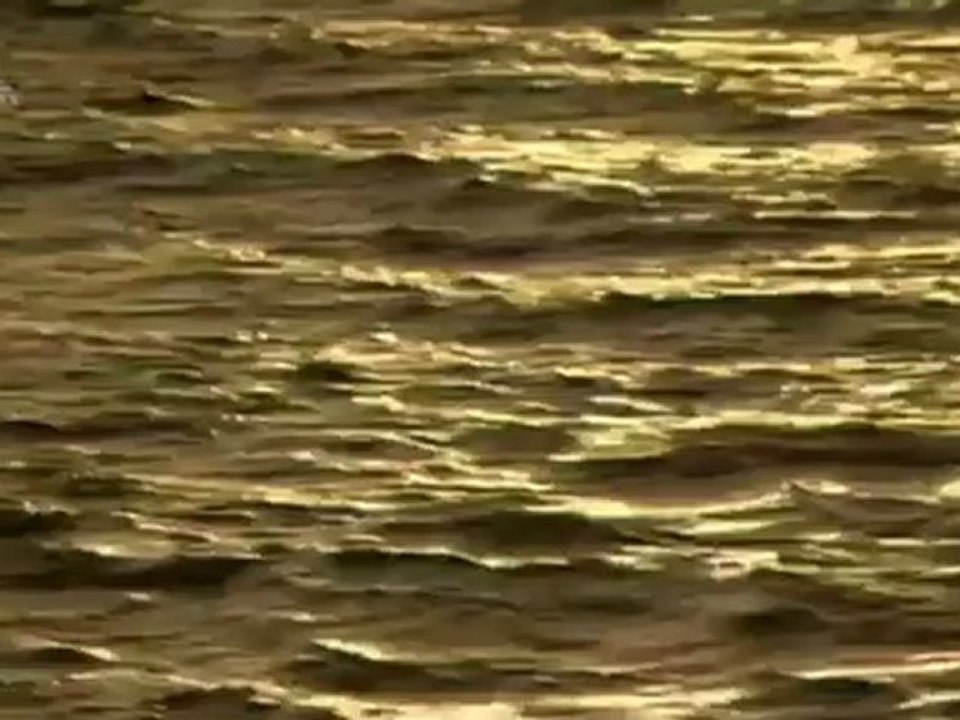 A történelem nyomában A Holt-tengeri tekercsek