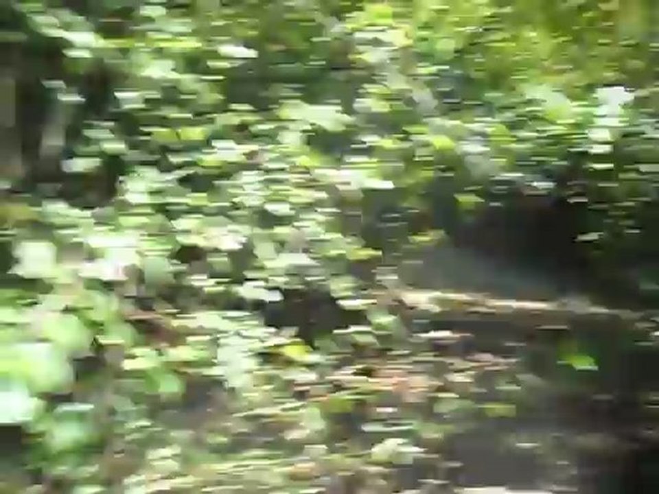 terrain numéro 2