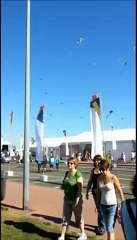 2012 Cerfs volants 1