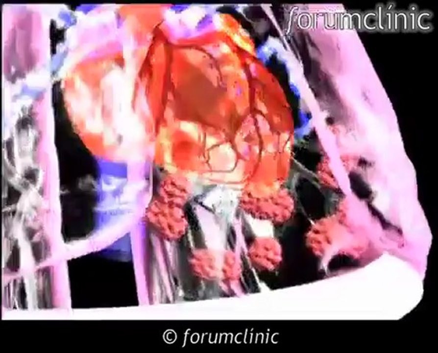 aparato respiratorio