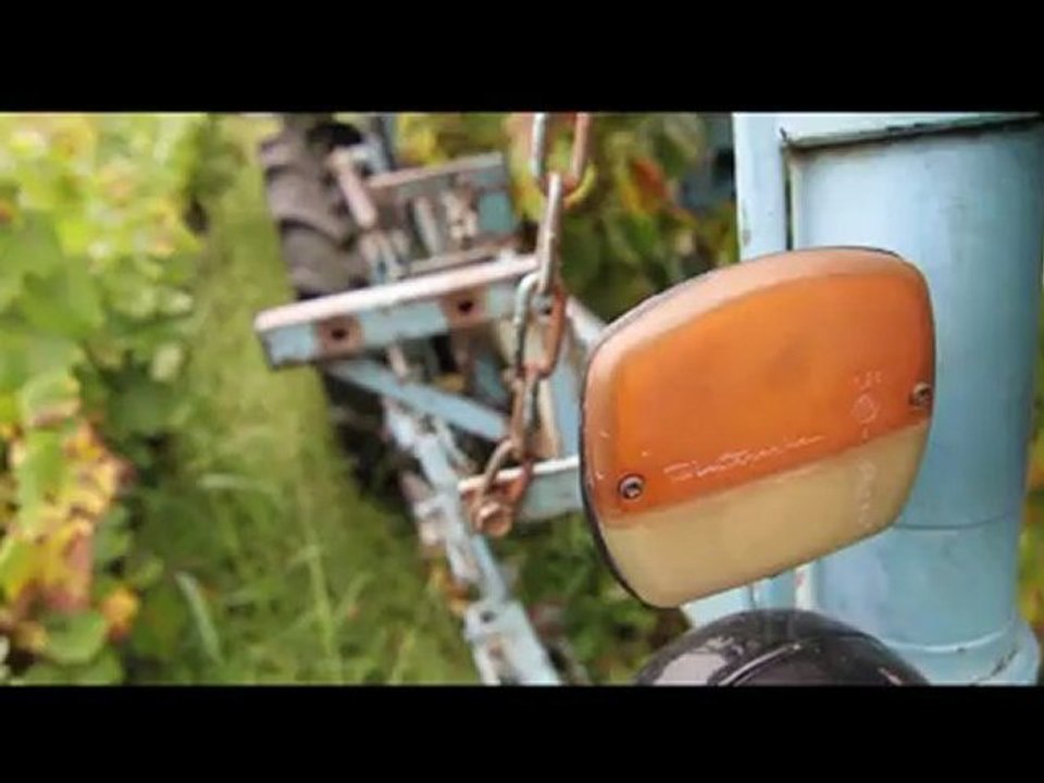 UNE JOURNEE DE VENDANGES DANS LE MUSCADET