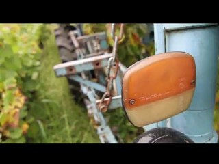 UNE JOURNEE DE VENDANGES DANS LE MUSCADET