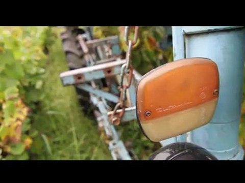UNE JOURNEE DE VENDANGES DANS LE MUSCADET