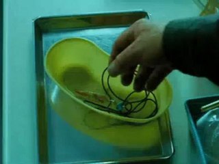 #3 - Clip #3 (English)