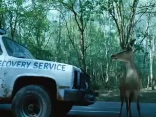 Deer - Extrait Deer (Anglais)