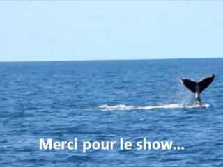 Baleineau show