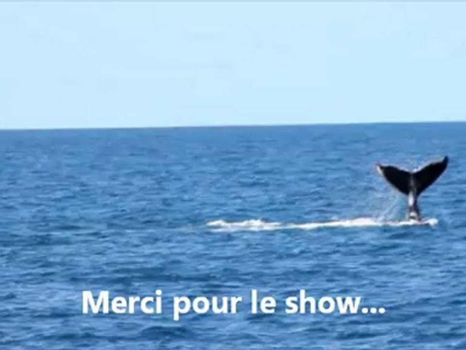 Baleineau show