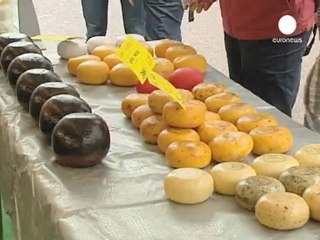 Hollandalı seçmeni, Euro krizi endişelendiriyor