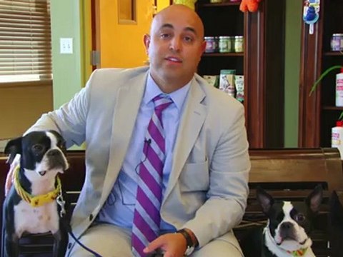 Welcome to Cedar Crest Animal Hospital