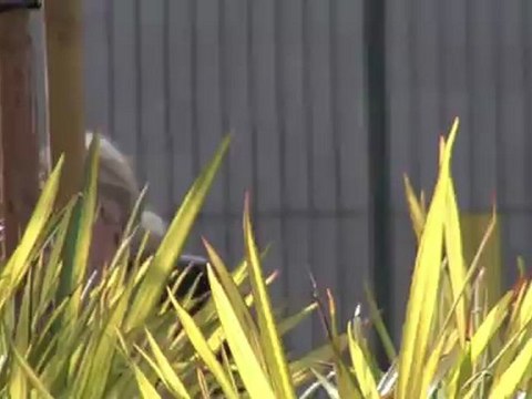 Lindsay Lohan Causing 'Scary Movie 5' Troubles?