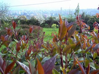 Ferhat AKIN - Peşime düşüyor gelinler kızlar