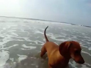 ¡No te vayas amigo!