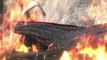 Assassin's Creed Revelations Two Assassins, One Destiny Trailer