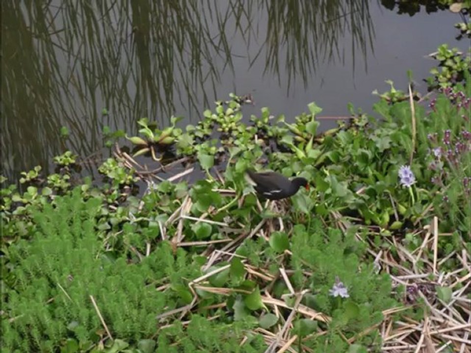 20 Novembre 2010-Écran