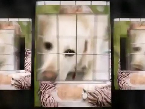 Pet Trust Services in East Brunswick, NJ and Lakewood, NJ