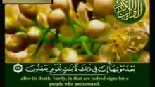 beautiful recitation- yasser adosary-Surah Al-Room