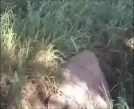 Dışlık Köyü Tanıtım - 03