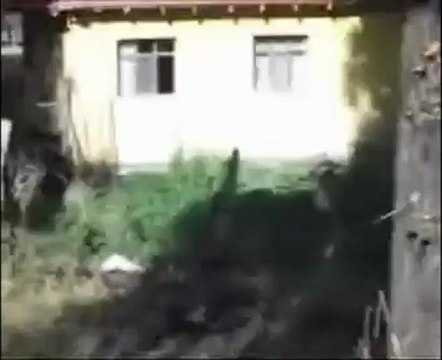 Dışlık Köyü Tanıtım - 07