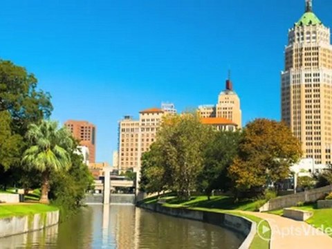 Windbury Homes in the Medical Park Apartments in San Antonio, TX - ForRent.com