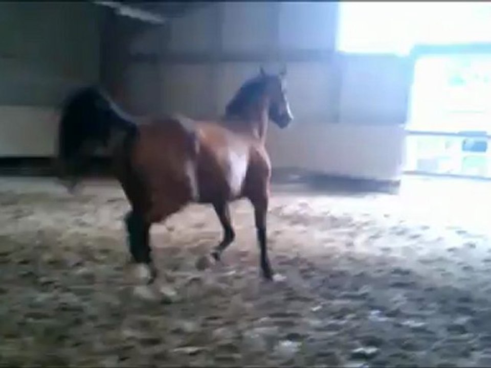 tété